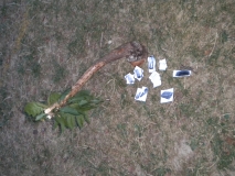 Tábor – Bělá 12.–19. 8. 2018