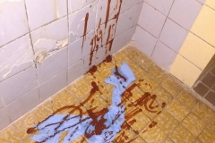 Výprava – Osečná 20.–22. 5. 2016