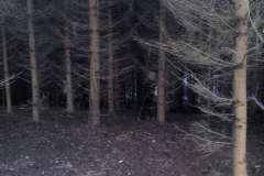 Výprava – Sedmihorky (Mikulášská) 4.–6. 12. 2015